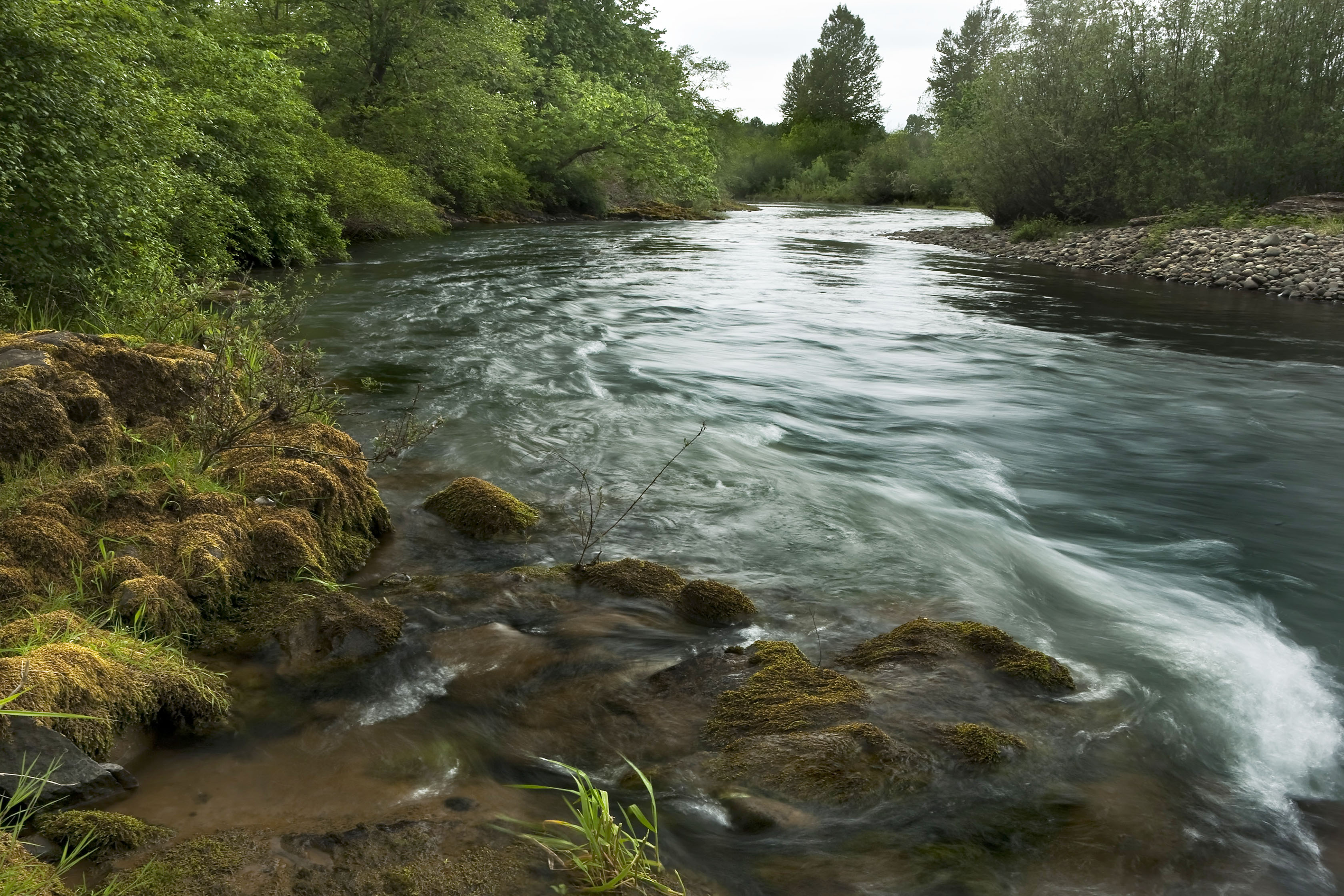 IWRA khởi động chuỗi hội thảo trực tuyến năm 2026 về hợp tác nước, hướng tới quản trị bền vững, thúc đẩy hòa bình 